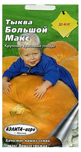 Семена Тыква Большой Макс 1 г Аэлита