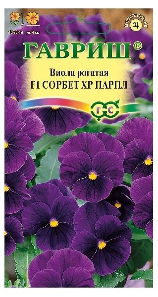 Семена Виола Сорбет XP Парпл F1 рогатая 4 шт.