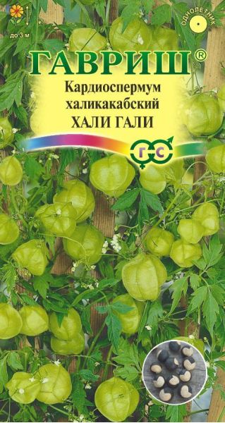 Кардиоспермум халикакабский Хали-Гали 1,0 г