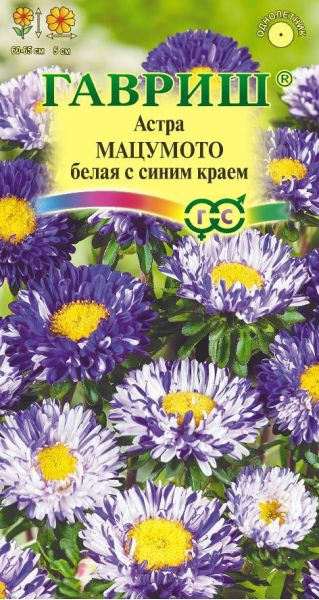 Семена Астра Мацумото белая с синим краем 0,3 г