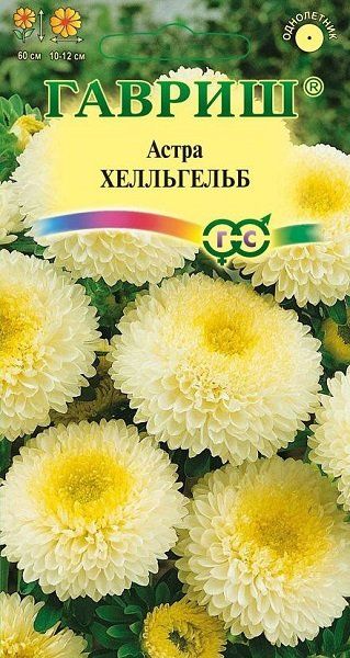 Семена Астра Хелльгельб 0,3 г