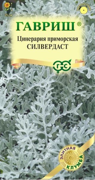 Цинерария Силвердаст (серебристая) 15 шт.