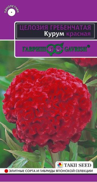 Целозия Курум красная гребенчатая* 10 шт.