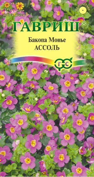Семена Бакопа Ассоль 3 шт
