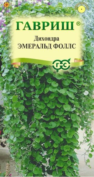 Дихондра Эмеральд Фоллс 3  шт.
