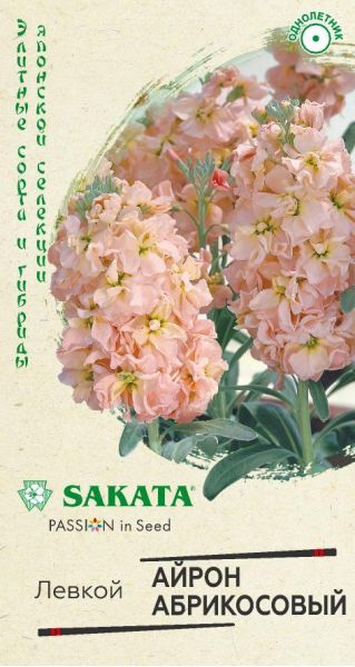 Левкой Айрон абрикосовый 5 шт. Саката серия Эксклюзив