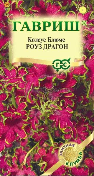 Колеус Роуз Драгон 4 шт.
