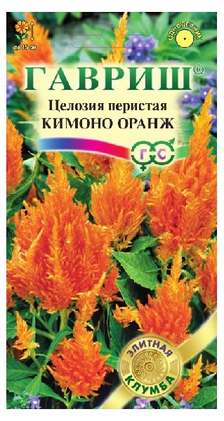 Целозия Кимоно Оранж перистая* 10 шт. Саката серия Элитная клумба