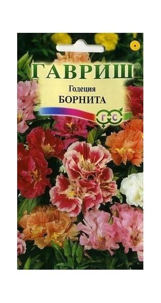 Годеция Борнита,* низкая смесь 0,05 г