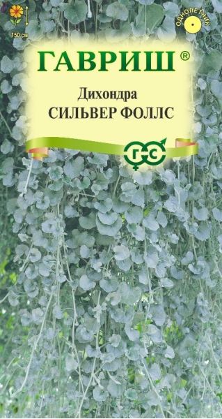 Дихондра серебристая Сильвер Фоллс 3  шт.