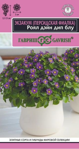 Семена Персидская фиалка Экзакум Роял дэйн дип блу 4 шт.