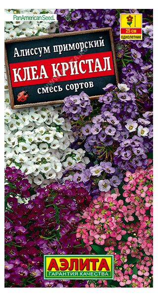 Алиссум Клеа Кристал, смесь окрасок 5 шт. Аэлита
