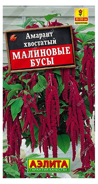 Семена Амарант Малиновые бусы 0,2 г Аэлита