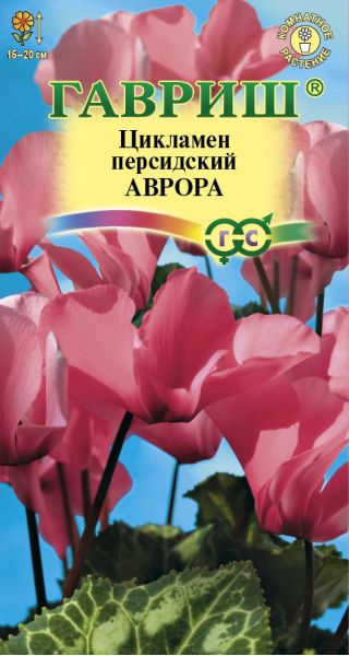 Семена Цикламен Аврора персидский 3 шт.