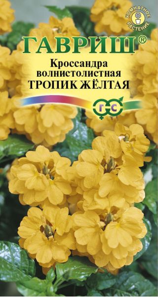 Семена Кроссандра Тропик желтая 3 шт.