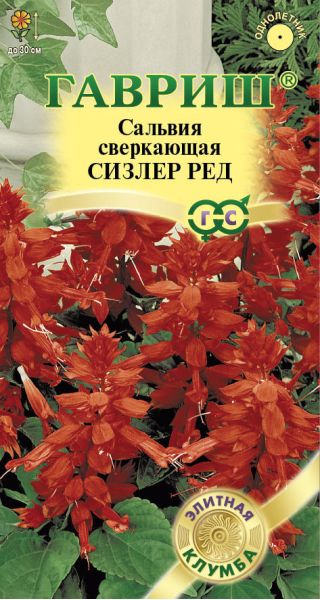 Сальвия Сизлер Ред 4 шт.* серия Элитная клумба