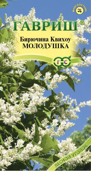 Семена Бирючина Квихоу Молодушка 0,3 г