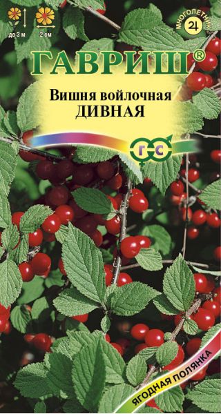 Семена Вишня войлочная Дивная 0,5 г