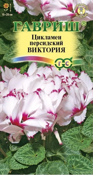 Семена Цикламен Виктория персидский 3 шт.