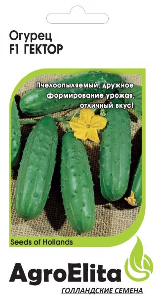 Семена Огурец Гектор F1 10 шт Агроэлита