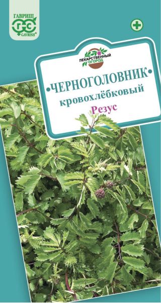 Семена Черноголовник кровохлебковый Кровохлёбка Резус 0,5 г