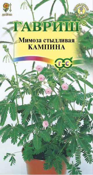 Семена Мимоза стыдливая Кампина 0,1 г