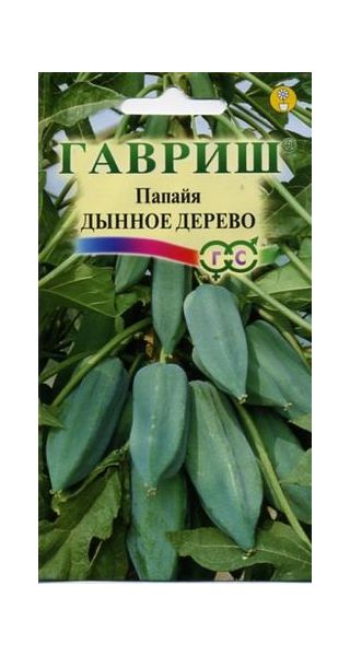 Семена Папайя Дынное дерево 3 шт.