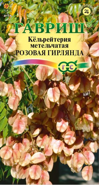 Семена Кёльрейтерия метельчатая Розовая гирлянда 10 шт