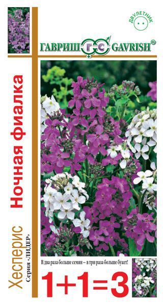 Семена Хесперис Ночная фиалка, смесь 0,6 г сер. 1+1