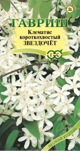 Семена Клематис короткохвостый Звездочет 0,05 г