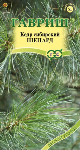 Семена Кедр сибирский Шепард 3 шт.