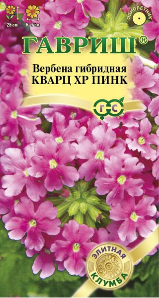 Вербена Кварц XP Пинк, гибридная* 4 шт. серия Элитная клумба