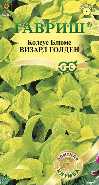 Колеус Визард Голден 5 шт.* Элитная клумба