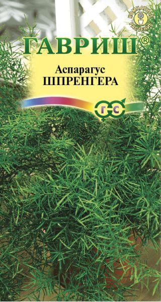 Семена Аспарагус Шпренгера  Вивальди 4 шт.