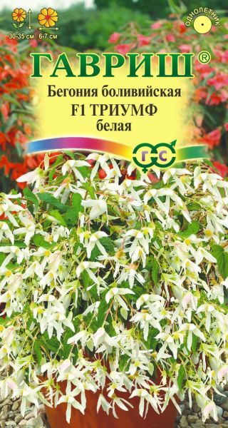 Семена Бегония Триумф белый F1 боливийская 5 шт.