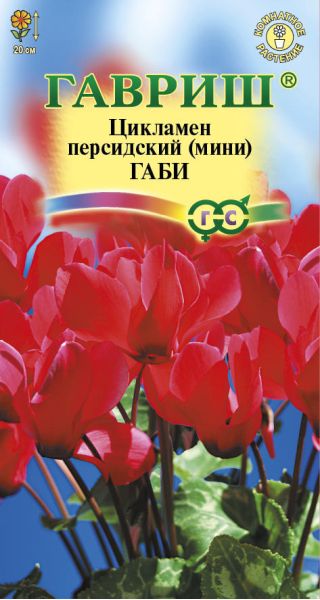 Семена Цикламен Габи персидский 3 шт.