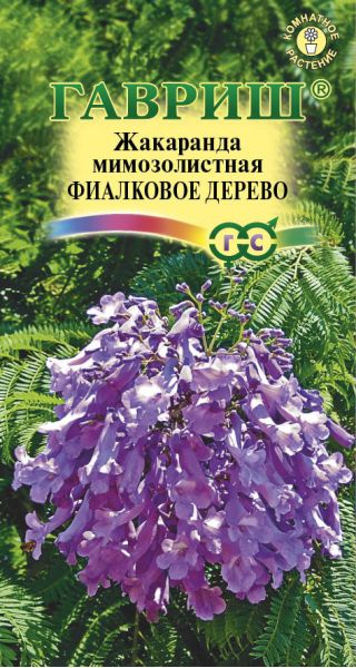 Семена Жакаранда Фиалковое дерево 3 шт.