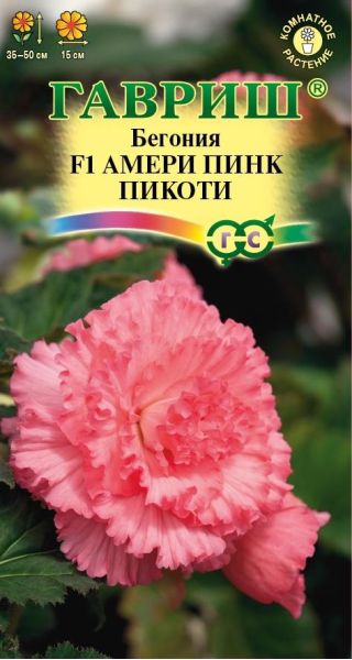 Семена Бегония Амери пинк пикоти F1 клубневая 4 шт.