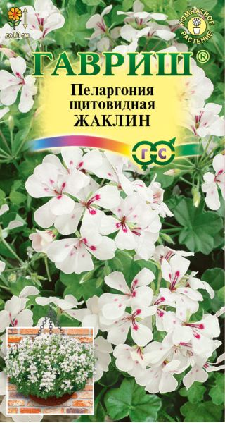 Семена Пеларгония ампельная Жаклин 3 шт.