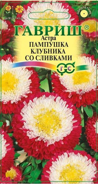 Семена Астра Пампушка клубника со сливками 0,3 г