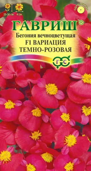 Семена Бегония Вариация темно розовая F1 вечноцветковая 5 шт.