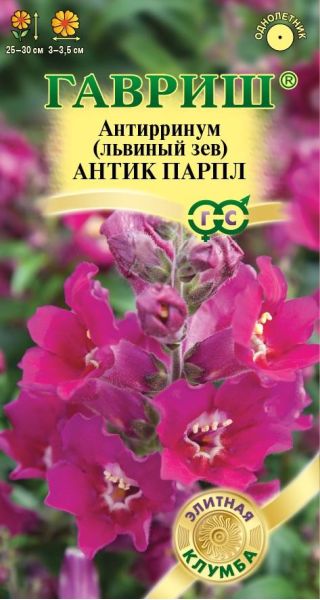 Львиный зев (Антирринум) Антик Парпл 7 шт.  серия Элитная клумба