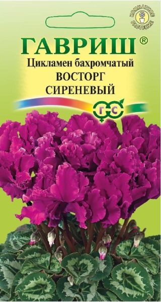 Семена Цикламен Восторг сиреневый F1 махровый 3 шт.