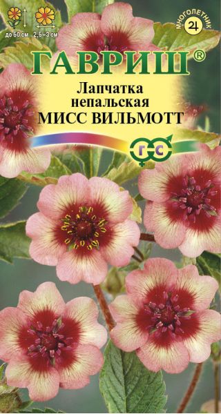 Семена Лапчатка непальская Мисс Вильмот 0,02 г