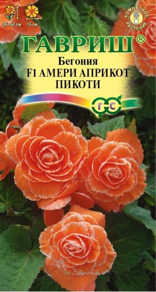 Семена Бегония Амери априкот пикоти F1 клубневая 4 шт.