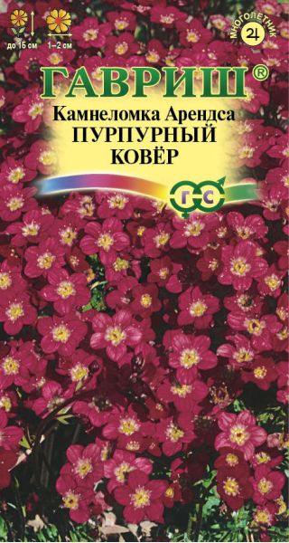 Семена Камнеломка Арендса Пурпурный ковер 0,01 г, изображение 2