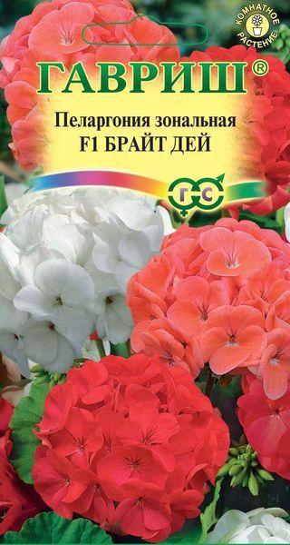 Семена Пеларгония Брайт дей F1 зональная 4 шт.