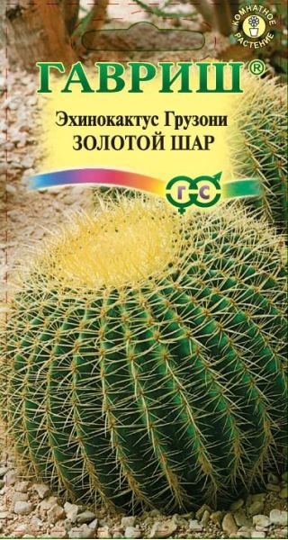 Семена Эхинокактус Грузона Золотой шар 4 шт.