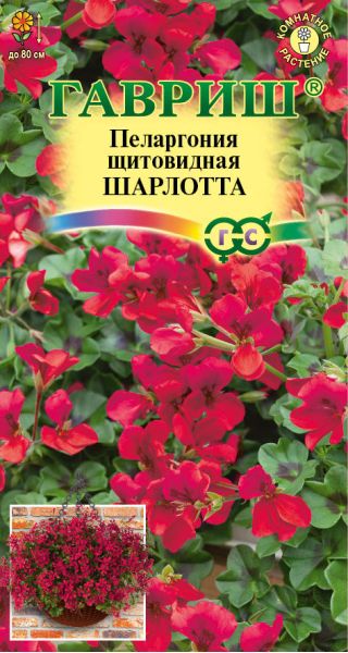 Семена Пеларгония ампельная Шарлотта 3 шт.