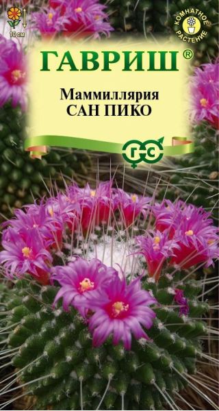 Семена Маммиллярия Толука Кактус Сан пико 2 шт.